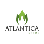 Atlantika-seeds copy